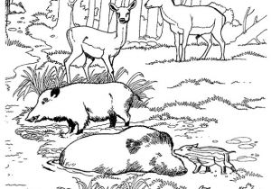 Coloriage Chasseur Sanglier Coloriage Zoo Sanglier Sur Hugolescargot