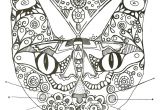 Coloriage Chat Anti Stress Coloriage Pour Adulte Anti Stress Un Masque De Chat à
