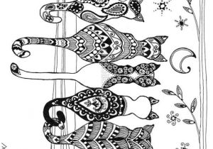Coloriage Chat Anti Stress Dessins Chats Coloriage Adulte