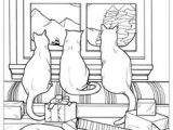 Coloriage Chat Dans Un Panier 228 Meilleures Images Du Tableau Coloriage Chat