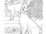 Coloriage Chat Dans Un Panier 228 Meilleures Images Du Tableau Coloriage Chat