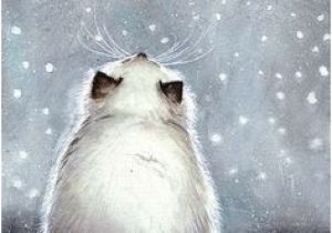 Coloriage Chat Dans Un Panier Chats