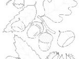 Coloriage Chataigne Coloriage Feuille Glands Et Ch¢taigne