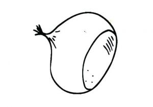 Coloriage Chataigne Manuelle La Chataigne Coloriage Chataigne Maternelle – Mobilorszagfo