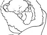 Coloriage Chaton Et Chiot Dessin