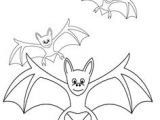 Coloriage Chauve souris Maternelle 8 Meilleures Images Du Tableau Dessin Chauve souris