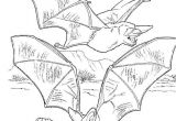 Coloriage Chauve souris Maternelle Coloriage Chauve souris