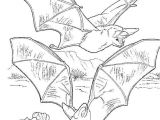 Coloriage Chauve souris Maternelle Coloriage Chauve souris
