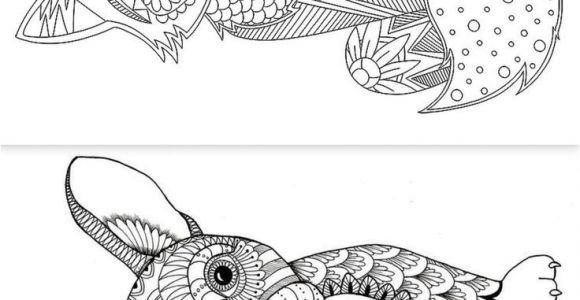 Coloriage Cheval Ailé 50 Best Dessin Coloriage Images On Pinterest