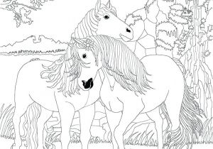 Coloriage Cheval Bella Sara Jeux De Coloriage De Chevaux Brawler