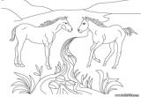 Coloriage Cheval Cabré 52 Best Coloriages Animaux De La Ferme Images On Pinterest
