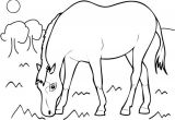 Coloriage Cheval Cabré 80 Best Coloriage Pour Lily Rose Images On Pinterest
