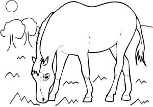 Coloriage Cheval Cabré 80 Best Coloriage Pour Lily Rose Images On Pinterest