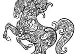 Coloriage Cheval Cabré Les 53 Meilleures Images Du Tableau Dessin Pour Enfant Sur Pinterest