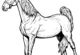Coloriage Cheval Gratuit En Ligne Coloriage En Ligne Cheval