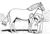Coloriage Cheval Gratuit En Ligne Coloriage204 Jeux De Coloriage De Chevaux