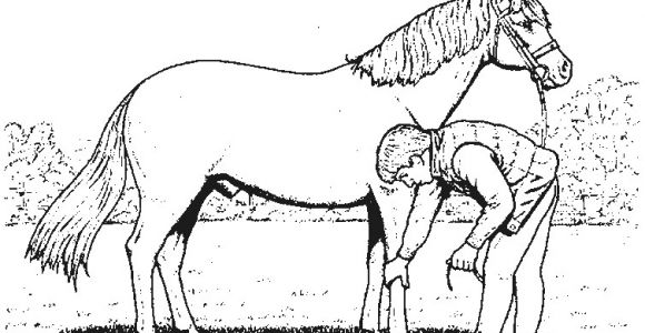 Coloriage Cheval Gratuit En Ligne Coloriage204 Jeux De Coloriage De Chevaux