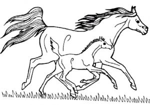 Coloriage Cheval Imprimer Gratuit 20 Dessins De Coloriage Cheval En Ligne à Imprimer
