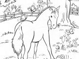 Coloriage Cheval Imprimer Gratuit 20 Dessins De Coloriage Cheval Gratuit à Imprimer