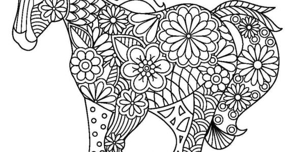 Coloriage Cheval Imprimer Gratuit Cheval Rigolo Coloriage Dessin X 4694 Fia Coloriage