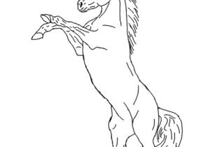 Coloriage Cheval Qui Se Cabre Coloriage A Imprimer Cheval Qui Saute Meilleures Idées Coloriage