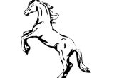 Coloriage Cheval Qui Se Cabre Coloriage De Cheval Qui Se Cabre