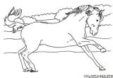 Coloriage Cheval Qui Se Cabre Coloriage De Cheval Qui Se Cabre
