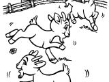 Coloriage Chevre Et Chevreau Ch¨vre 11 Animaux – Coloriages   Imprimer