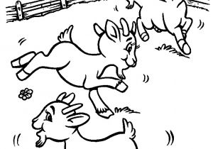 Coloriage Chevre Et Chevreau Ch¨vre 11 Animaux – Coloriages   Imprimer
