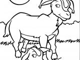 Coloriage Chevre Et Chevreau Coloriage Ch¨vre Chevreau   Imprimer