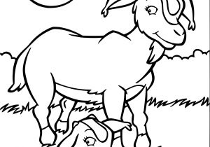 Coloriage Chevre Et Chevreau Coloriage Ch¨vre Chevreau   Imprimer