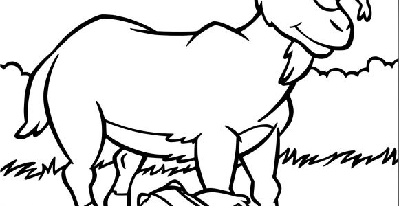 Coloriage Chevre Et Chevreau Coloriage Ch¨vre Chevreau   Imprimer