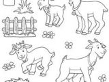 Coloriage Chevre Et Chevreau Coloriage Ch¨vre   Colorier Dessin   Imprimer