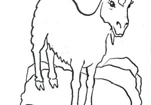 Coloriage Chevre Et Chevreau Coloriage Chevre Les Beaux Dessins De Animaux A Imprimer Et Colorier