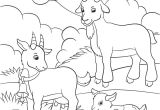 Coloriage Chevre Et Chevreau La Ch¨vre Naine Une Biquette attachante