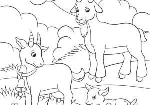 Coloriage Chevre Et Chevreau La Ch¨vre Naine Une Biquette attachante