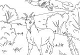 Coloriage Chevre Et Loup Coloriage Chevre Les Beaux Dessins De   Imprimer Et Colorier Page 2