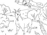 Coloriage Chevre Et Loup Coloriage Chevre Les Beaux Dessins De   Imprimer Et Colorier Page 2