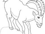 Coloriage Chevre Facile Coloriage Ch¨vre   Colorier Dessin   Imprimer