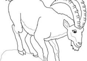Coloriage Chevre Facile Coloriage Ch¨vre   Colorier Dessin   Imprimer