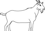Coloriage Chevre Facile Coloriage Ch¨vre   Colorier Dessin   Imprimer