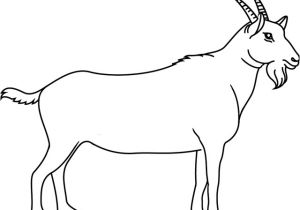 Coloriage Chevre Facile Coloriage Ch¨vre   Colorier Dessin   Imprimer