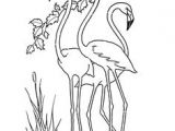 Coloriage Chevre Facile Coloriage Ch¨vre   Colorier Dessin   Imprimer