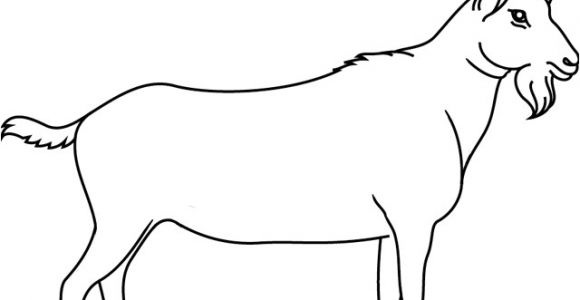 Coloriage Chevre Facile Coloriage Ch¨vre   Colorier Dessin   Imprimer