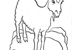 Coloriage Chevre Monsieur Seguin 112 Dessins De Coloriage Ch¨vre   Imprimer