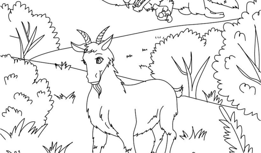 Coloriage Chevre Monsieur Seguin Coloriages Coloriage La Ch¨vre De