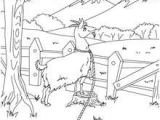 Coloriage Chevre Monsieur Seguin Goat Coloring Pages Drawing for Kids Videos for Kids Reading