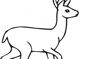 Coloriage Chevreuil A Imprimer Chevreuil 17 Animaux – Coloriages   Imprimer