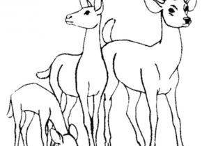 Coloriage Chevreuil A Imprimer Chevreuil 3 Animaux – Coloriages   Imprimer