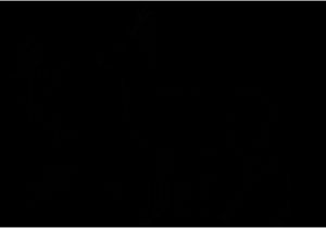 Coloriage Chevreuil A Imprimer Coloriage Chevreuil Les Beaux Dessins De Animaux   Imprimer Et